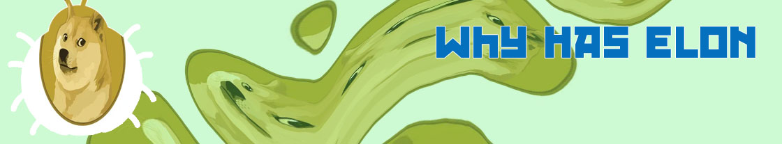 Doge cryptocurrency
